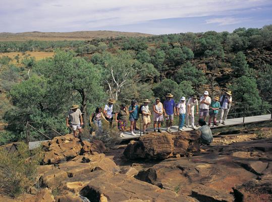Guided tour, Mutawintji NP: a great place to visit in New South Wales. Image © Destination NSW. This photo sponsored by Wedding Flowers Category.